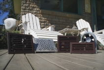 	What Makes a Good Sub Floor Ventilation System by Envirofan	