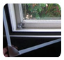 Freedom Retractable Screens