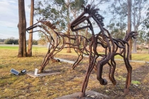 	Guided Sculptural Tours at Hunter Valley by ARTPark Australia	