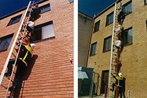 Emergency Access Ladders Sydney from JOMY