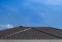 	Professional Roof Painting Services Sydney by Duravex Roofing	