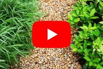 	DIY Backyard with Pour On by StoneSet	