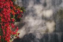 	Retaining Wall DIY Tips from Simons Seconds	