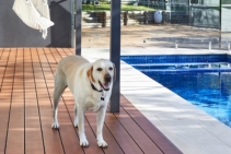 	Powder-Coated Aluminium Decking with Timber Grain Finish by DECO	