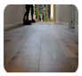 Wild River Timber Company