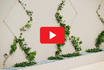 Green Walls Using Jaw Swage Bottlescrews by Miami Stainless