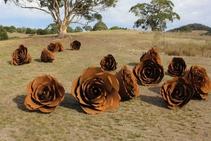 	Garden Sculptures by Australian Artists by ArtPark Australia	