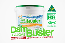 Natural Water Cleaning with Dam Buster by Bio Natural Solutions