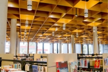 	Acoustic Timber Ceiling and Wall Systems for Public Spaces	