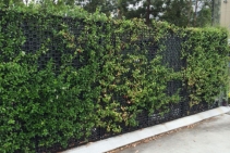 	Green Facade Architectural Screen System by Atlantis	