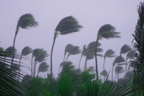 	Cyclone Protection for Windows and Doors by CW Products	