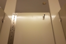 	Hook and Utility Holders Supplier NSW by Star Washroom Accessories	