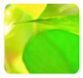 Good Environmental Choice Australia