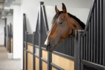 	Buckaroobarn Horse Stall Flooring by Sherwood Enterprises	