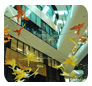 Decor Systems