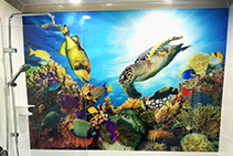 Themed Feature Walls for Bathrooms by Innovative Splashbacks