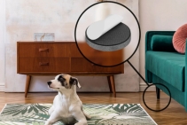 	Self Adhesive Felt Pads for Scratch Protection by Whittle Waxes	