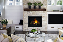 Contemporary Enclosed Gas Fireplaces - 6X from Jetmaster