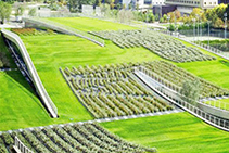 Green Building Systems Featured on CNN with KHD