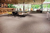 Ready-to-Order Commercial Carpet from Nolan Group