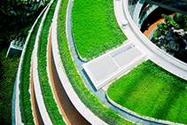 Urban Green Roofs Sydney from Elmich