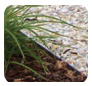 FormBoss Metal Garden Edging