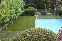 Always Green Artificial Grass for Homes from Eco Grass