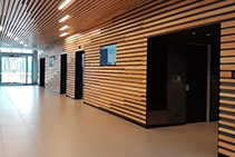 Tasmanian Oak Timber Office Acoustic Solutions from Atkar