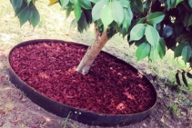 	Round Garden Edging for Tree Rings by FormBoss	