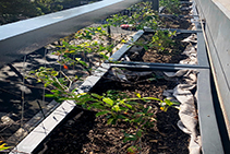 Hot Air Welding of Planter Boxes for BMW by Bayset
