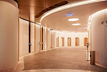 Limestone-look Painted Finish for 388 George Street by Di Emme