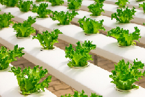 Specify Hydroponic Profiles from Australian Plastic Profiles