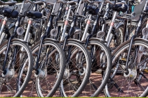 	Wall Mounted Vertical Bike Rack by Cora Bike Rack	