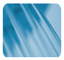 Hills Solutions Group