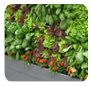 KHD Landscape Engineering Solutions