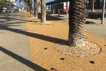 Permeable Tree Pits for Scarborough Beach from MPS Paving