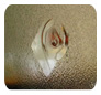 Profile Glass