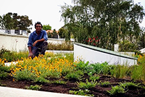 Complete Green Roof Solutions for Home by KHD
