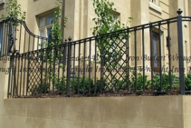 	Custom Wrought Iron Fencing for Homes by Budget Wrought Iron	