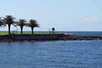 	Kiama Sculpture Walk 2026 by ARTPark Australia	