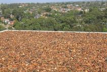 	Bird Control with Gravel Binder Project by Stoneset	