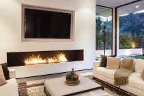 	Advantages of Bioethanol Fuel for Fireplaces by EcoSmart Fire	