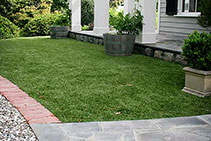 Artificial Lawn for Year-Round Greenery from Eco Grass