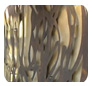 Landscape and Architectural Design Products