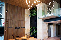 Internal Ceiling & Wall Panels from Screenwood