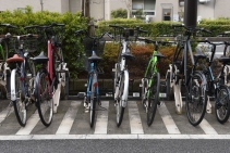 Commercial Bike Parking Solutions by Cora Bike Rack
