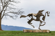 Limited Edition Bronze Sculptures by ARTPark Australia