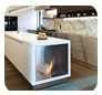 EcoSmart Fire