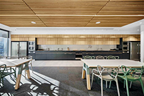 American White Oak Acoustic Ceiling Panels from Screenwood