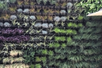 	Green Wall System for Homes by KHD	